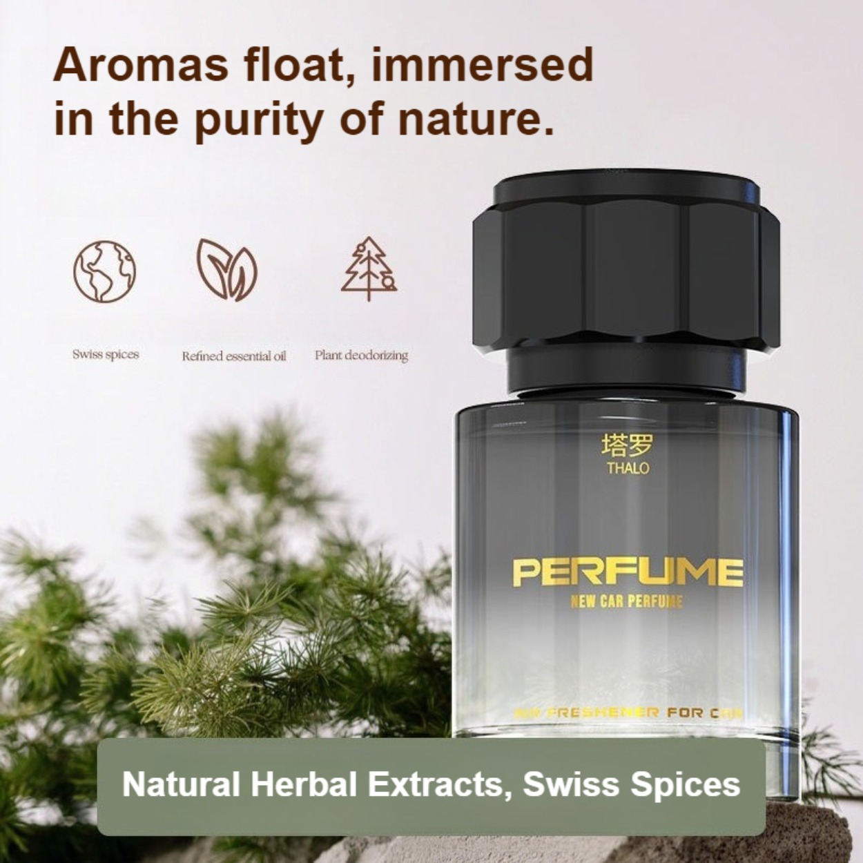 Men's Perfume: Long-Lasting, F - Fragrance Long Lasting Perfume บทวิจารณ์และราคา